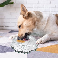 allforpaws Life 4 Pet-Stainless Steel Lickmate Dog Toy, Silver, 9.3 x 9.3 x 1.6-in slide 2 of 3