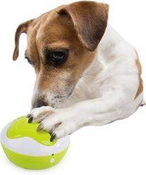allforpaws Interperter Dog Toy, Multicolor, 4.3 x 4.3 x 2.4-in slide 2 of 4