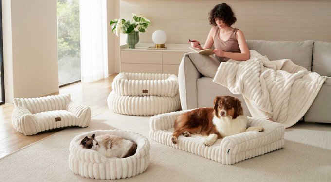 Bedsure Orthopedic Bolster Dog Bed with Removable Cover