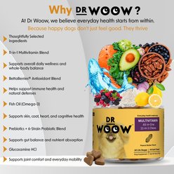 Dr Woow 11-in-1 Joint Peanut Butter Flavored Soft Chews Multivitamin for Dogs, 90 count slide 2 of 9