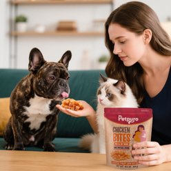 PetPuro Chicken Bites Soft & Chewy Dog Treats, 10.6-oz bag slide 2 of 9