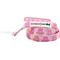 Show in main carousel: Sassy Woof Care Bears Cheer Bear Dog Leash, 5-ft long, 4/5-in wide slide 1 of 6