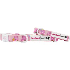 Sassy Woof Care Bears Cheer Bear Dog Collar, Small: 13-in neck, 1/2-in wide