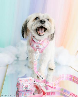Show full view: Sassy Woof Care Bears Cheer Bear Dog Leash, 5-ft long, 4/5-in wide slide 6 of 6
