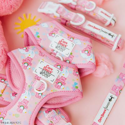 Show full view: Sassy Woof Care Bears Cheer Bear Dog Harness & Leash, Large: 22 to 33-in chest slide 7 of 9