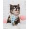 Show in main carousel: Sassy Woof Care Bears Care-a-Lot Dog Harness & Leash, X-Large: 24 to 35-in chest slide 9 of 9