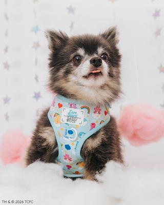 Show full view: Sassy Woof Care Bears Care-a-Lot Dog Harness & Leash, X-Large: 24 to 35-in chest slide 9 of 9