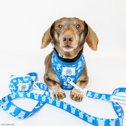 Sassy Woof Care Bears Grumpy Bear Adjustable Dog Harness, Medium: 18 to 25-in chest slide 2 of 7