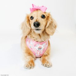 Sassy Woof Care Bears Cheer Bear Adjustable Dog Harness, XX-Large: 25 to 37-in chest slide 2 of 7