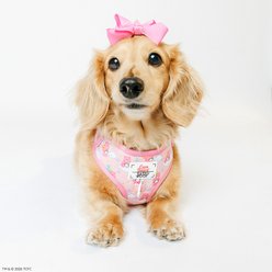 Sassy Woof Care Bears Cheer Bear Adjustable Dog Harness, Small: 16 to 21-in chest slide 2 of 7