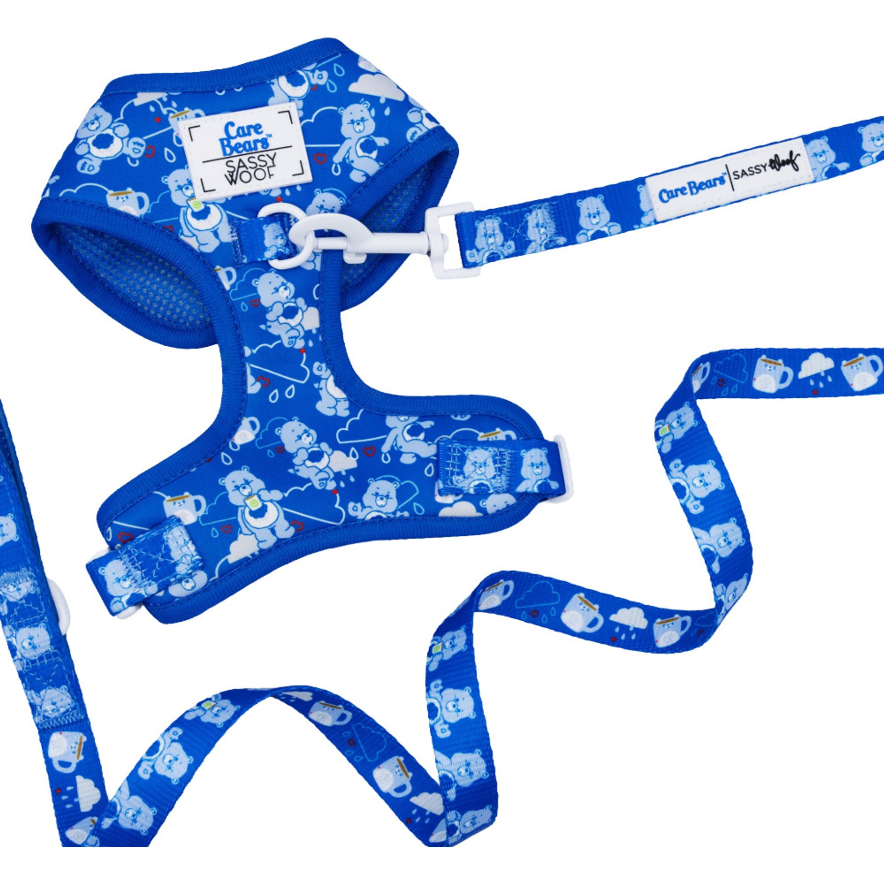 Sassy Woof Care Bears Grumpy Bear Dog Harness & Leash, Large: 22 to 33-in chest