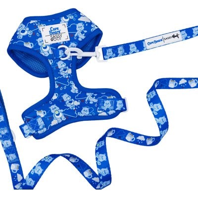 Sassy Woof Sassy Woof Care Bears Grumpy Bear Dog Harness & Leash, Small: 16 to 21-in chest