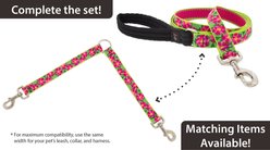 LupinePet Nature Inspired Original Design Go Go Gecko Dog Leash Coupler, 24-in long, 1-in wide slide 2 of 7