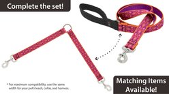 LupinePet Popular Picks Original Design Alpen Glow Dog Leash Coupler, 24-in long, 1-in wide slide 2 of 7