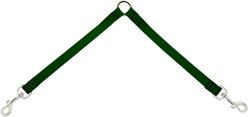 LupinePet Basic Solid Dog Leash Coupler, Green, 24-in long, 3/4-in wide