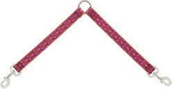 LupinePet Popular Picks Original Design Alpen Glow Dog Leash Coupler, 24-in long, 1-in wide