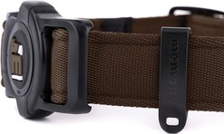 myfamily Memopet Dog Collar, Brown, Small: 10 to 14-in neck, 3/5-in wide slide 2 of 3