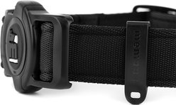 myfamily Memopet Dog Collar, Black, Medium: 14 to 21-in neck, 7/8-in wide slide 2 of 3