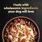Show in main carousel: Cesar Wholesome Meals Chicken, Carrots, Barley & Green Beans Recipe Wet Dog Food, 17.6-oz pouch slide 10 of 10