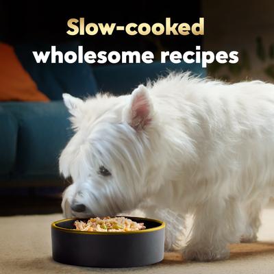 Show full view: Cesar Wholesome Meals Chicken, Carrots, Barley & Green Beans Recipe Wet Dog Food, 17.6-oz pouch slide 5 of 10