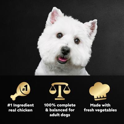 Show full view: Cesar Wholesome Meals Chicken, Carrots, Barley & Green Beans Recipe Wet Dog Food, 17.6-oz pouch slide 4 of 10