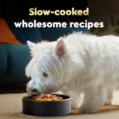 Show full view: Cesar Wholesome Meals Beef, Chicken, Carrots, Barley & Green Beans Recipe Wet Dog Food, 17.6-oz pouch slide 5 of 10