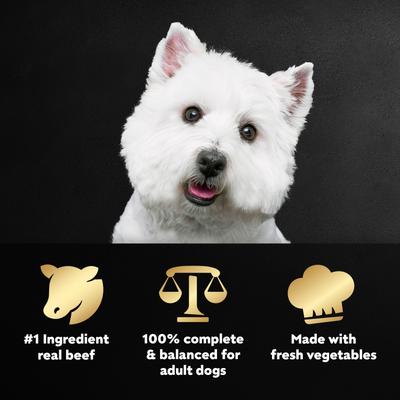 Show full view: Cesar Wholesome Meals Beef, Chicken, Carrots, Barley & Green Beans Recipe Wet Dog Food, 17.6-oz pouch slide 4 of 10