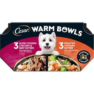 Cesar Warm Bowls Variety Pack Chicken & Beef Entree & Roasted Chicken Entree Shredded Wet Dog Food Trays, 2.7-oz tray, pack of 6