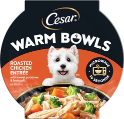 Cesar Warm Bowls Roasted Chicken Entree Shredded Wet Dog Food Trays, 2.7-oz tray, case of 10