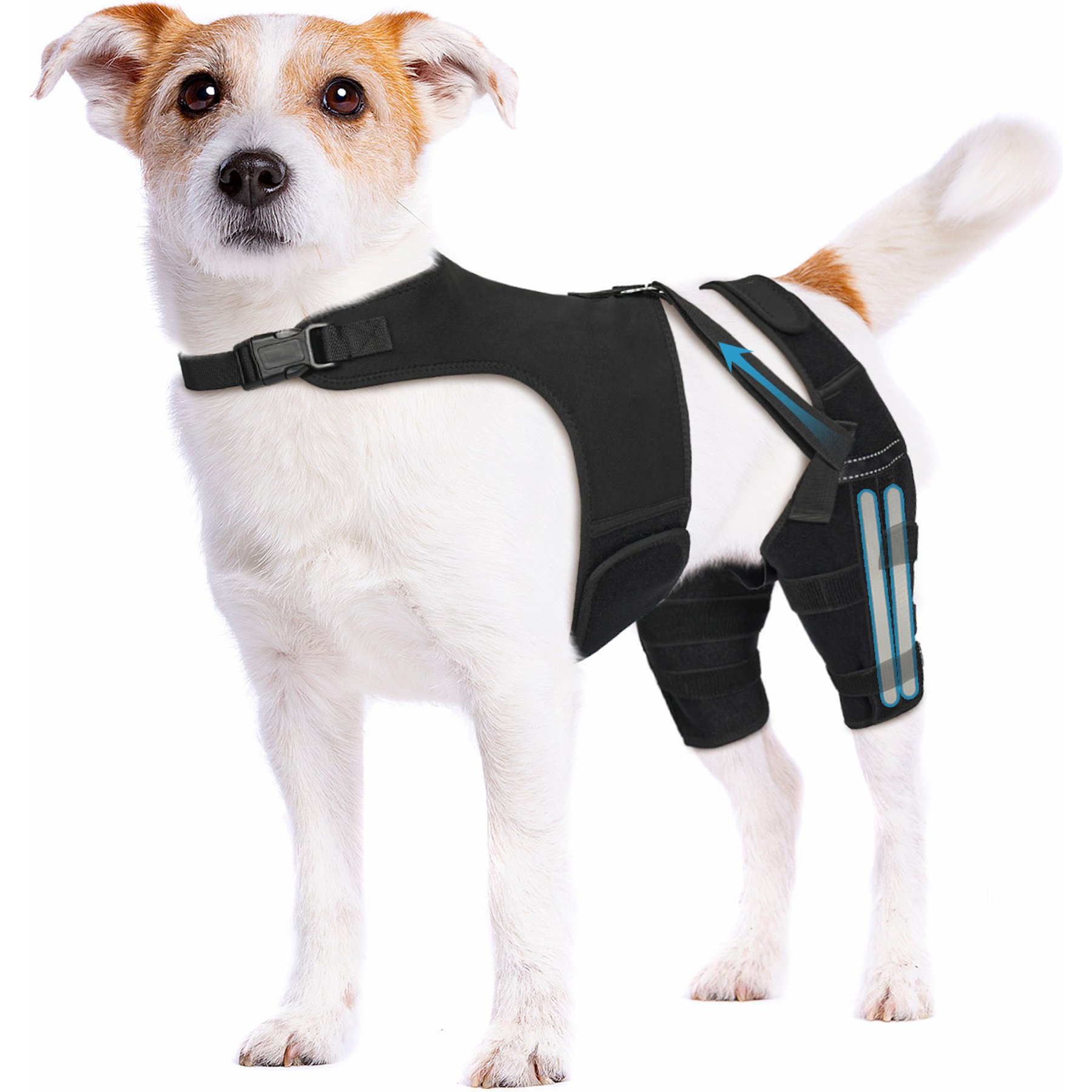 Supet Adjustable Dog Knee Braces for Back Leg with 4 Stabilizers, X-Small