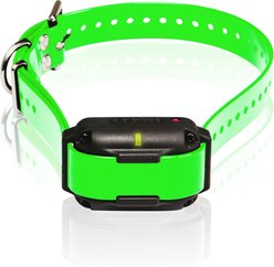 Dogtra Edge RT Additional Receiver Dog Remote Training Collar, Green
