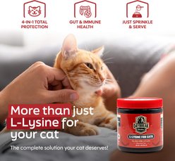 Daybreak Nutrition L-Lysine Chicken Flavored Powder Immune Supplement for Cats, 4.2-oz jar slide 2 of 9