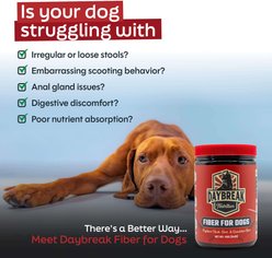 Daybreak Nutrition Fiber for Dogs Beef Flavored Powder Digestive Aid for Dogs, 12-oz jar slide 2 of 9