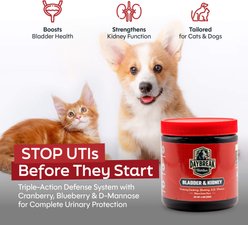 Daybreak Nutrition Bladder & Kidney Chicken Flavored Powder Kidney Supplement for Dogs & Cats, 4.2-oz jar slide 2 of 9