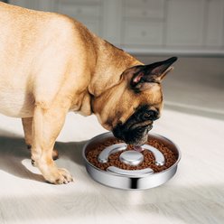 JOEJOY Stainless Steel Non-Skid Bloat Stop Slow Feeder Dog Bowl, Medium: 2-cup slide 2 of 9