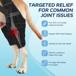 Supet Adjustable Dog Knee Braces for Back Leg with 4 Stabilizers, XX-Large slide 2 of 8