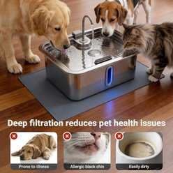 Deftpet Modern Stainless Steel Automatic Dog & Cat Water Fountain Pump, Black, 2.64-gal slide 2 of 8
