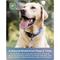 Show in main carousel: BioPower Pet Shield Flea & Tick Repellent Tag for Dogs & Cats, Standard slide 3 of 7