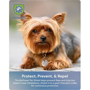 BioPower Pet Shield Flea & Tick Repellent Tag for Dogs & Cats, Standard