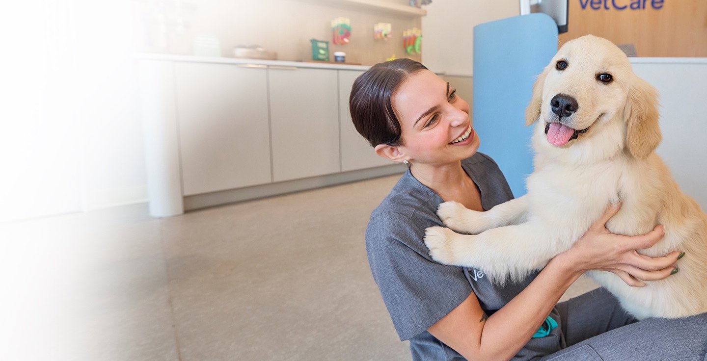 A veterinary professional playing with a dog