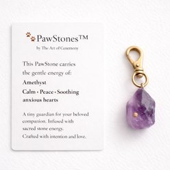 PawStone Amethyst Dog Collar Charm, Medium slide 2 of 4
