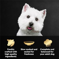 Cesar Filet Mignon Flavor Filets in Gravy Wet Dog Food, 1.76-oz pouch, case of 20 slide 2 of 9