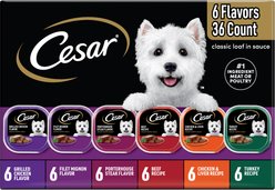 Cesar Classic Loaf in Sauce Variety Pack Grain-Free Small Breed Adult Wet Dog Food Trays, 3.5-oz, case of 36
