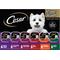 Show in main carousel: Cesar Classic Loaf in Sauce Variety Pack Grain-Free Small Breed Adult Wet Dog Food Trays, 3.5-oz, case of 36 slide 1 of 10