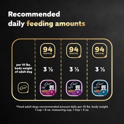 Cesar Filets in Gravy Beef Flavors Variety Pack Small Breed Adult Wet Dog Food, 3.5-oz tray, case of 24 slide 2 of 9