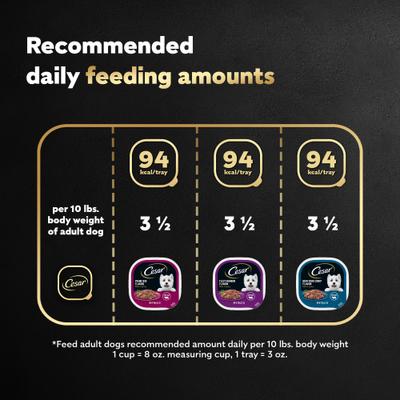 Show full view: Cesar Filets in Gravy Beef Flavors Variety Pack Small Breed Adult Wet Dog Food, 3.5-oz tray, case of 24 slide 8 of 11