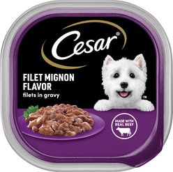 Cesar Filets in Gravy Filet Mignon Flavor Small Breed Adult Wet Dog Food, 3.5-oz, case of 24