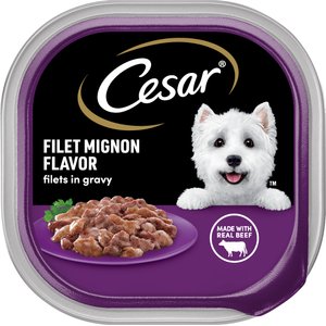 Cesar Filets in Gravy Filet Mignon Flavor Small Breed Adult Wet Dog Food, 3.5-oz, case of 24