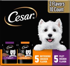 Cesar Variety Pack Filet Mignon & Rotisserie Chicken Flavor Filets in Gravy Wet Dog Food, 1.76-oz pouch, case of 10