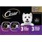 Show in main carousel: Cesar Classic Loaf in Sauce Variety Pack Adult Filet Mignon & Grilled Chicken Wet Dog Food Trays, 3.5-oz, 6 count slide 1 of 10